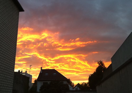 Cien fire