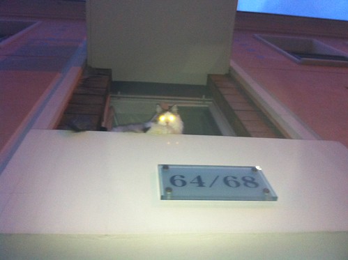 Chat 2
