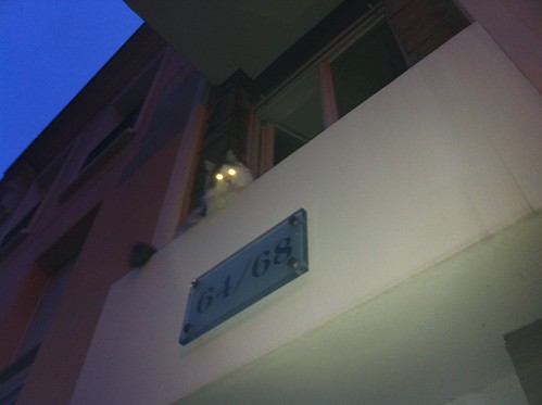 Chat 1